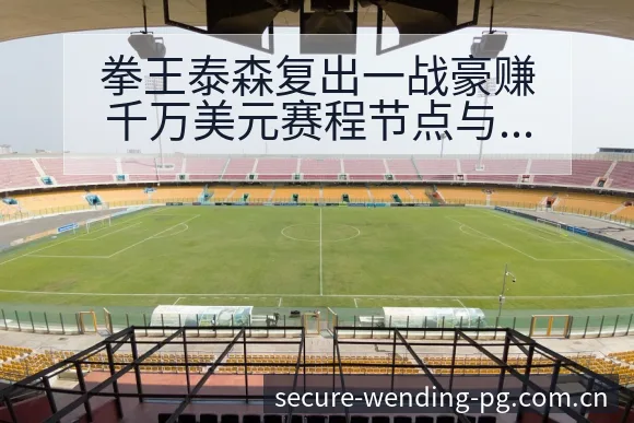 拳王泰森复出一战豪赚千万美元赛程节点与风险前瞻 - 问鼎PG