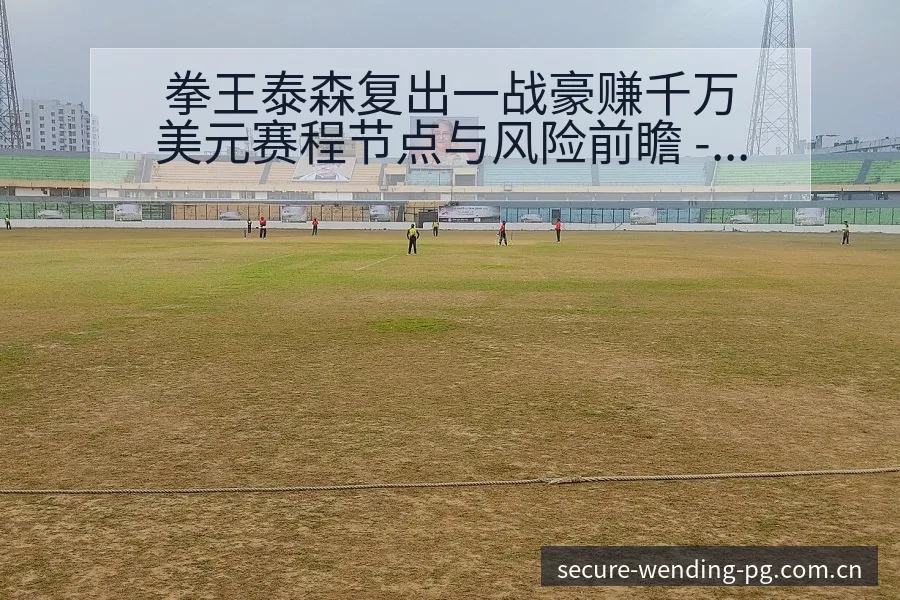 拳王泰森复出一战豪赚千万美元赛程节点与风险前瞻 - 问鼎PG